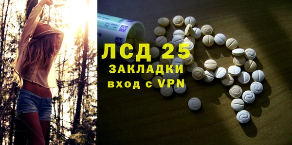 дживик Новозыбков