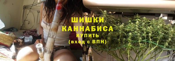 ГАЛЛЮЦИНОГЕННЫЕ ГРИБЫ Алзамай