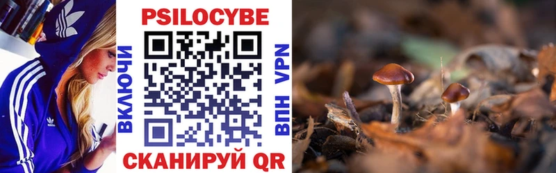 Галлюциногенные грибы прущие грибы  закладки  ссылка на мегу вход  Стародуб 